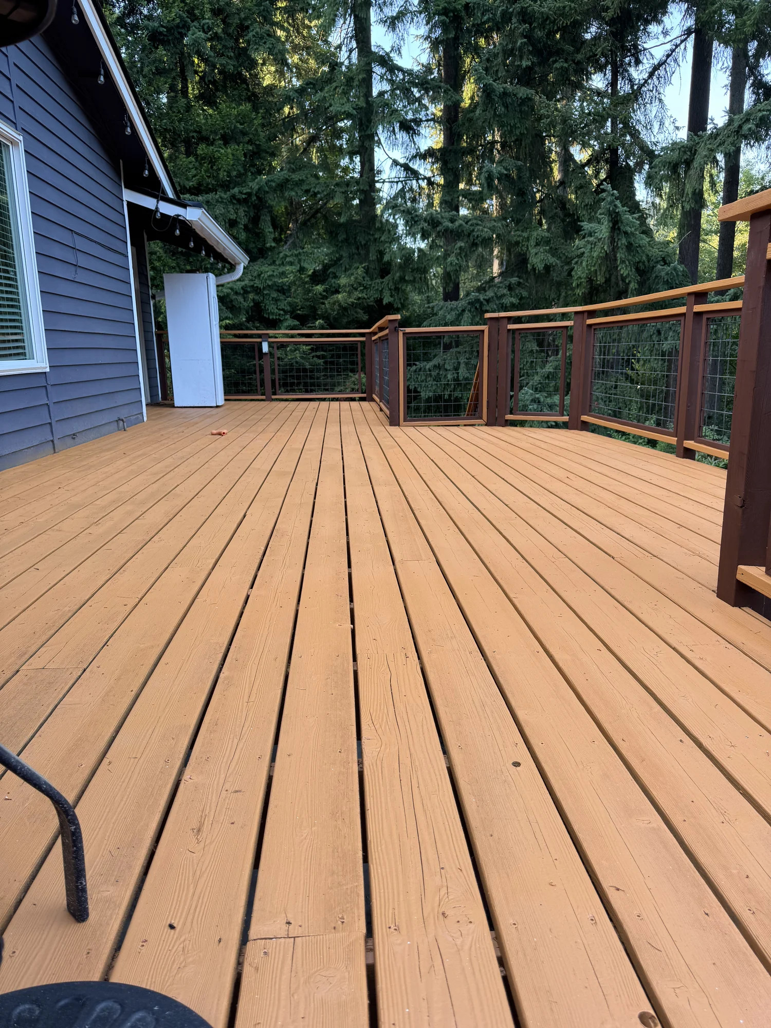 Exterior Painting 1 — after